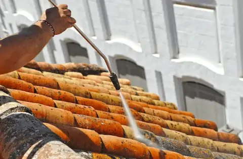 Nettoyage de toitures - Violay